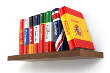nyelvi szolgáltatások